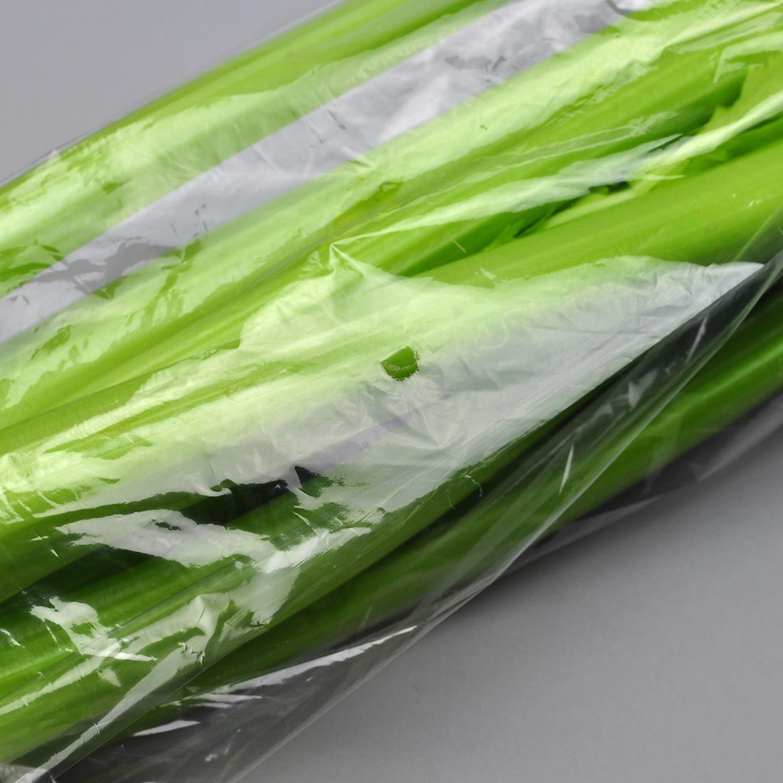 2.0 Mil Hole Vented Bags